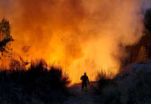 Europa bate recorde de emissões devido a incêndios em Portugal e Espanha