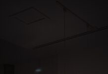 A IA pode traduzir o amor? Para esse casal, ela é a chave do casamento