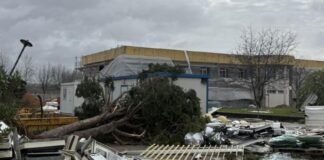 Macau e Hong Kong unidos para ajudar vítimas das tempestades em Portugal – Notícias de Coimbra