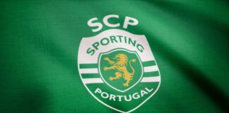 Sporting conquista Taça de Portugal de voleibol – Notícias de Coimbra