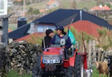 Filha e mãe mantêm viva uma tradição que está a desaparecer em Portugal – Notícias de Coimbra