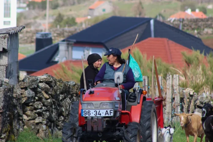 Filha e mãe mantêm viva uma tradição que está a