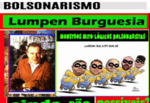 Brasil-Bolsonarismo-Lumpen Burguesia. Análise Política-Valério Arcary
