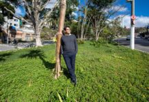 Arquiteto e paisagista desenvolveu jardins de chuva, política pública que revigora o solo da cidade de São Paulo